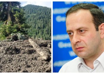 „სახელმწიფოს სათავეში უდგანან მკვლელები, რომელთაც არაერთხელ გაწირეს სასიკვდილოდ თავიანთი თანამოქალაქეები“ – გიორგი გუგავა