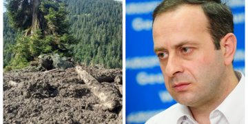 „სახელმწიფოს სათავეში უდგანან მკვლელები, რომელთაც არაერთხელ გაწირეს სასიკვდილოდ თავიანთი თანამოქალაქეები“ – გიორგი გუგავა
