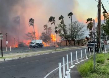 ჰავაის ტყის ხანძრის შედეგად დაღუპულთა რაოდენობა 93-მდე გაიზარდა