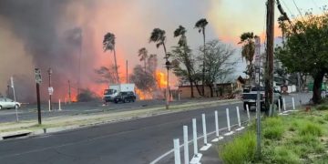 ჰავაის ტყის ხანძრის შედეგად დაღუპულთა რაოდენობა 93-მდე გაიზარდა