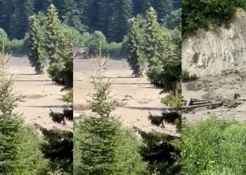 “თუ დროზე არ მოვა ვერტმფრენი, ყველანი ჩავიხრჩობით” – რა ხდება რაჭაში