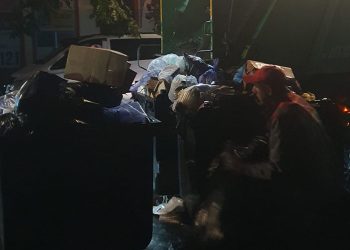 “ერთი ასეთი ფოტოც დავდოთ, როგორ მიაქვთ ნაგავი!” – სულხან დევაძე