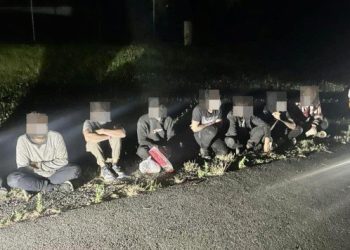 ავსტრიაში დააკავეს საქართველოს მოქალაქე, რომელსაც მიგრანტები უკანონოდ გადაჰყავდა