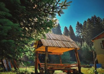 ვისაც ღამის გასათევი არ გაქვთ, უსასყიდლოდ მიგიღებთ – “Family Inn Shovi”