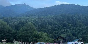 შოვში დაკარგულების სია