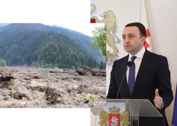 “ბოდიში, კი გათენდა, მაგრამ გაწვიმდაო… დილით რომ გაწვიმებულიყო, ვერც იმ 152 ადამიანს გამოიყვანდნენ?” – თამო კეშელავა