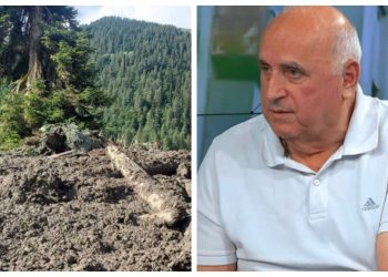 „შეიძლება თბილისშიც იგივე განმეორდეს, რაც შოვში მოხდა! აქ არის ოცამდე საშიში ლოკაცია, რომელთან მიკარებაც არ შეიძლებოდა! ეს ,,სიკვდილის ბიზნესია“! – ანზორ საკანდელიძე