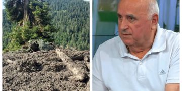 „შეიძლება თბილისშიც იგივე განმეორდეს, რაც შოვში მოხდა! აქ არის ოცამდე საშიში ლოკაცია, რომელთან მიკარებაც არ შეიძლებოდა! ეს ,,სიკვდილის ბიზნესია“! – ანზორ საკანდელიძე