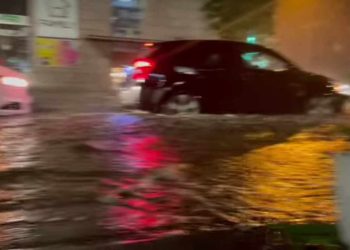 “ტალღებია დღეს, ცურვა დაუშვებელია!” – ვიდეო თბილისიდან