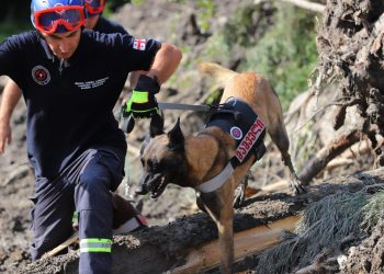 ცნობილი მაშველი ტინტო შოვში – ფოტო