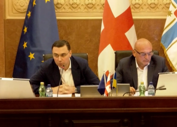 “მეტი სიმჭიდროვის განაშენიანების გეგმა დაგვიმტკიცებია, მაგრამ…” – რა ხდება საკრებულოს სხდომაზე?