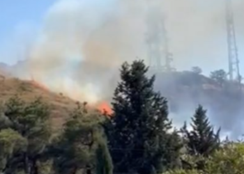 თბილისში, კუკიის სასაფლაოს მიმდებარედ ხანძარია