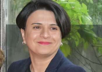 “ამაზე მნიშვნელოვანი თემა, ვფიქრობ, არ არსებობს” – მეზვრიშვილი