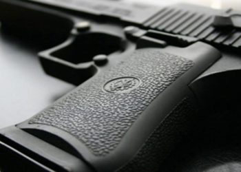 უცხო ქვეყნის მოქალაქეები ცეცხლსასროლი იარაღისა და ვაზნების შემოტანას ცდილობდნენ – შემოსავლების სამსახური