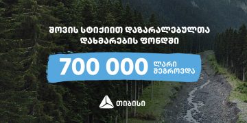 თიბისიმ შოვში სტიქიით დაზარალებულთა დახმარება დაიწყო