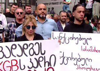 ენმ-მ და “სტრატეგია აღმაშენებელმა” ფარცხალაძის წინააღმდეგ გამოძიების დაწყების მოთხოვნით აქცია გამართეს