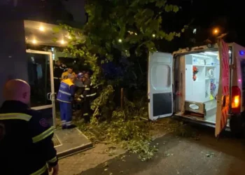 თბილისში, მელიქიშვილის ქუჩაზე ხე წაიქცა და ადამიანი მოიყოლა