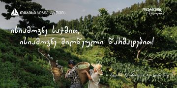 თიბისის მხარდაჭერით გურიაში ჩაის წარმოება გაფართოვდა