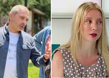 “ეს იმ სერიიდანაა, ვაშლიჯვრის ფერდი რომ უნდა დაიძრას და დიდუბეში ჩავიდეს? ხალხის დაპანიკება ამ ქალბატონის ჰობია” – ავთანდილ ცინცაძე