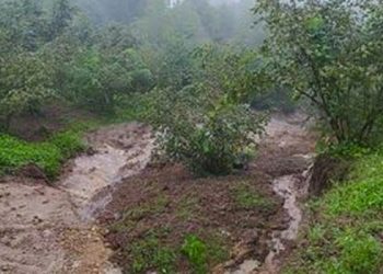 გურიაში, სოფელ ჯუმათში ნაპოვნია ბავშვის ცხედარი – შსს