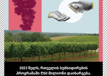 რთველის სუბსიდირების პროგრამაში ₾60 მლნ უტენდეროდ დაიხარჯება – ფლანგვის დეტექტორი