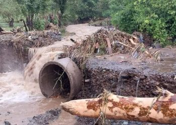 სოფელ მამათში ჩარჩენილი მოხუცებულების გამოყვანა მოხერხდა – “უმაგრესები ხართ, ბიჭებო, და უნდა ისწავლოს ყველამ თქვენი ფასი”