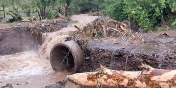 სოფელ მამათში ჩარჩენილი მოხუცებულების გამოყვანა მოხერხდა – “უმაგრესები ხართ, ბიჭებო, და უნდა ისწავლოს ყველამ თქვენი ფასი”