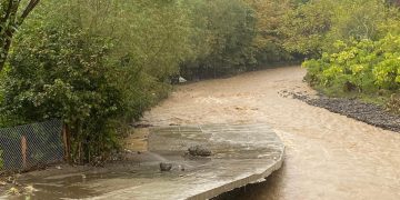 გურიაში, სტიქიის ზონაში კიდევ ერთი ცხედარი იპოვეს – დეტალები