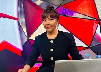 “ასეთი ამბები აქამდე არ ყოფილა, ესაა დიაგნოზი” – ინგა გრიგოლია