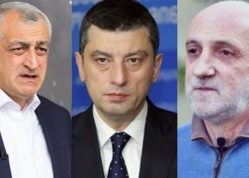 “მე არ ვარ გახარიას პარტიის წევრი, უფრო მეტიც, ვმეგობრობ და ვთანამშრომლობ მამუკასთან” – ხუხაშვილი