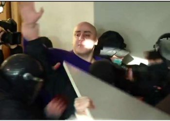 სტრასბურგმა საქმეზე „ნიკა მელია საქართველოს წინააღმდეგ“ არც ერთი მუხლის დარღვევა არ დაადგინა