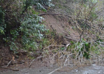 გურიაში ათამდე სახლი გარესამყაროს მოწყვეტილია – დაკარგულია 3 ადამიანი, მათ შორის 2 ბავშვია
