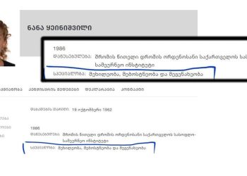 “მეხილეობის, მებოსტნეობისა და მევენახეობის სპეციალისტი პასუხისმგებელი გახდება ქვეყნის ფინანსურ უსაფრთხოებაზე”– ნოდარ სირბილაძე