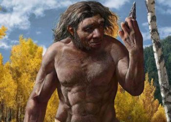900 ათასი წლის წინ ადამიანი კინაღამ გადაშენდა – კვლევა