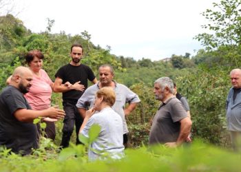 ოზურგეთის მუნიციპალიტეტში სტიქიით დაზარალებულ სოფლებში აღდგენითი სამუშაოები გრძელდება