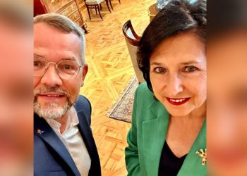 კანდიდატის სტატუსს ემუქრება არა ზურაბიშვილი, არამედ “ოცნება” – მიხაილ როტი