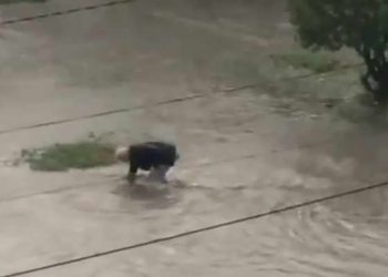 (ვიდეო) – მოხუცი მოქალაქე სანიღვრეს მარტო წმენდს – რუსთავი