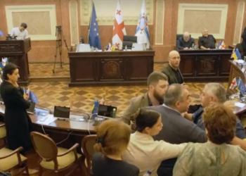 ჩხუბი თბილისის საკრებულოში – დეტალები