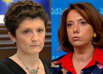 “ძაღლი ცოცხალი არსებაა ქალბატონო თეა, თანამშრომელი-ადამიანია და ჯამი-ჭურჭელია” – სამადაშვილი