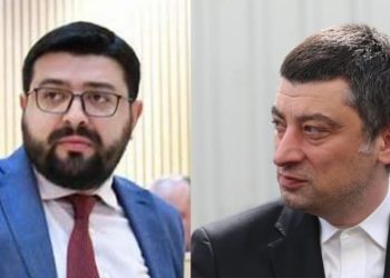 “გახარია მაზაკვალიც და ნაცების დამონებული სალომეც დამარცხდნენ” – დიტო სამხარაძე