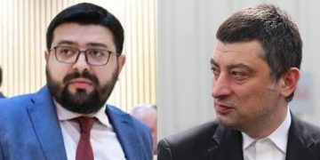 “გახარია მაზაკვალიც და ნაცების დამონებული სალომეც დამარცხდნენ” – დიტო სამხარაძე