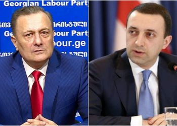 შალვა ნათელაშვილის მოთხოვნა პრემიერს