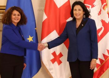 „ბრავო, ქალბატონო პრეზიდენტო“ – საფრანგეთის ელჩი სალომე ზურაბიშვილს