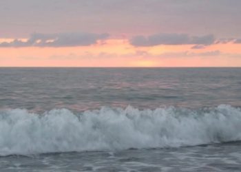 გრიგოლეთში ზღვამ ცხედარი გამორიყა