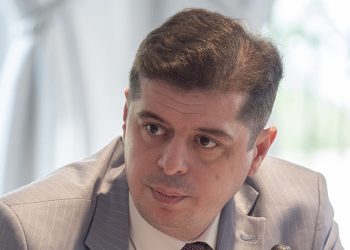 გიორგი ფანგანმა EU4Energy-ს ორგანიზებით გამართულ შეხვედრაში მიიღო  მონაწილეობა