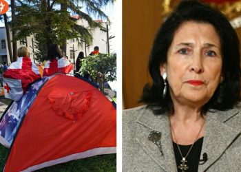 პრეზიდენტის სასახლესთან აქცია დაანონსდა – დეტალები