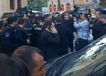 პარლამენტთან კიდევ ერთი პირი დააკავეს