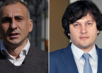 “წარმომიდგენია ქართული ოცნების მხარდამჭერები რას ფიქრობენ” – ელისაშვილი