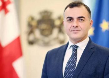 საქართველოს ელჩი ისრაელში საგანგებო მიმართვას ავრცელებს