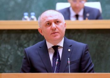 საქართველოს პორტებში მომსახურება არცერთ სანქცირებულ გემს არ გასწევია – გრიგოლ ლილუაშვილი